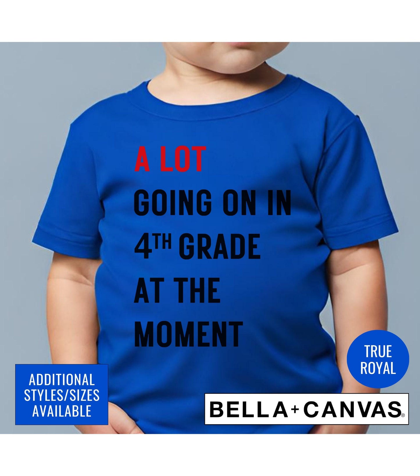 A Lot Going On In 4th Grade At The Moment Graphic T-Shirt